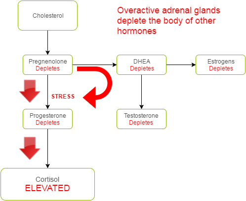 Overactive Adrenals