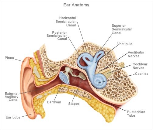When an Ear Infection is a Neck Problem