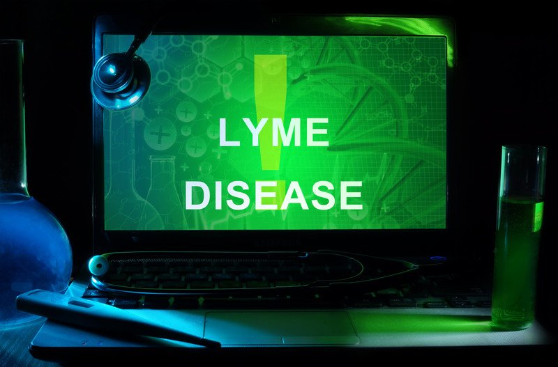 Lyme Treatment: An Integrative Medicine Perspective