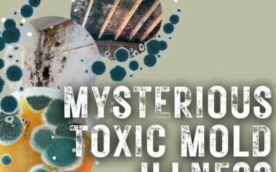 Mold Illness: Symptoms, Testing & Functional Medicine Treatment