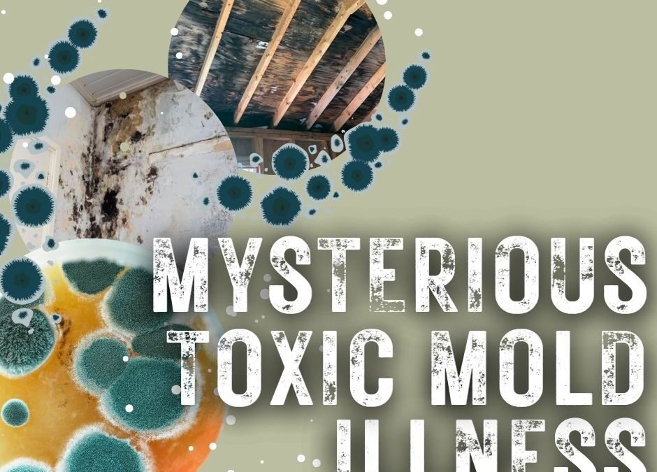 Mold Illness: Symptoms, Testing & Functional Medicine Treatment