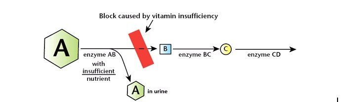 Causes of Chronic Fatigue