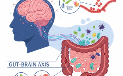 The Hidden Connection Your Doctor Missed: How Your Gut Determines Your Stroke Risk